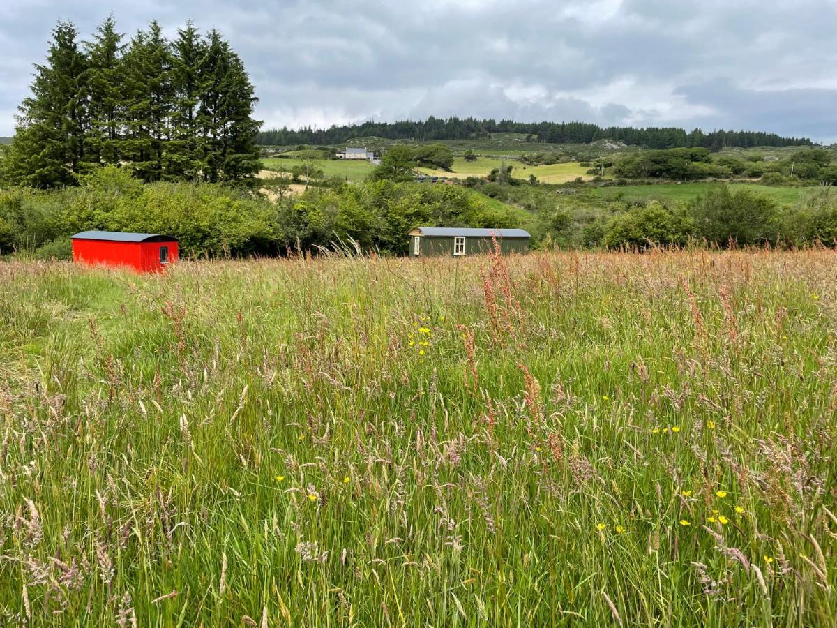 Stepping Stones Glamping 'The Olive' Bantry Exterior foto